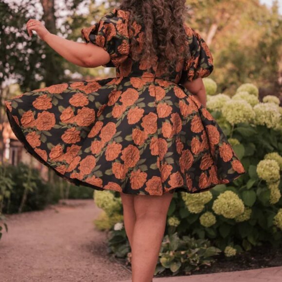 3X Sylvie Dress Jessakae NWT - Picture 5 of 16